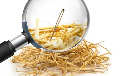 needle in a haystack