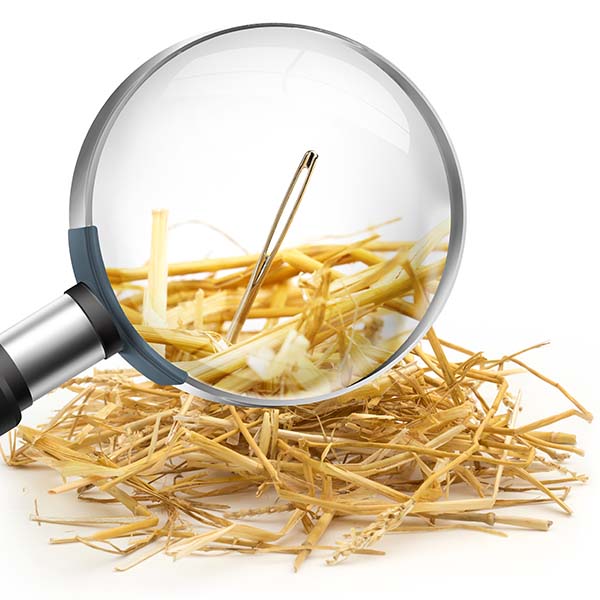 needle in a haystack